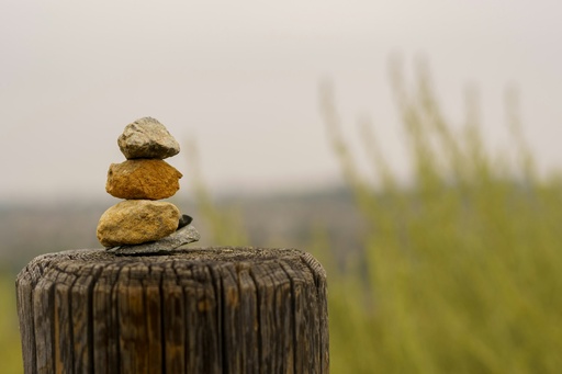 Finding Balance in Mental Health for Everyday Life